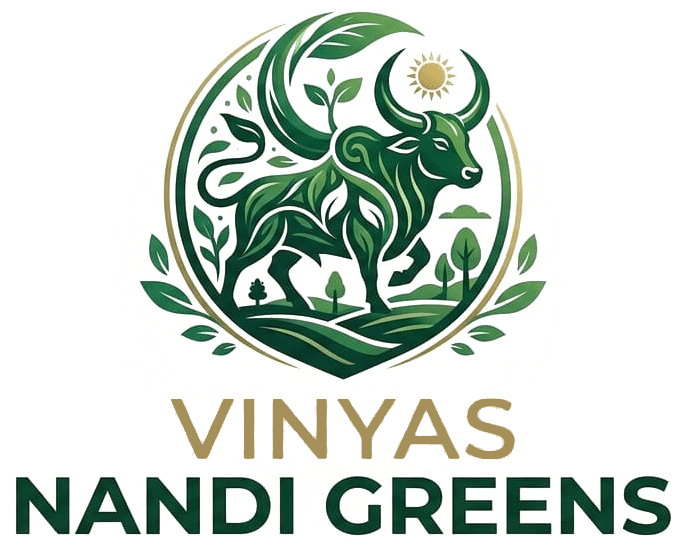 Vinyas Nandi Greens